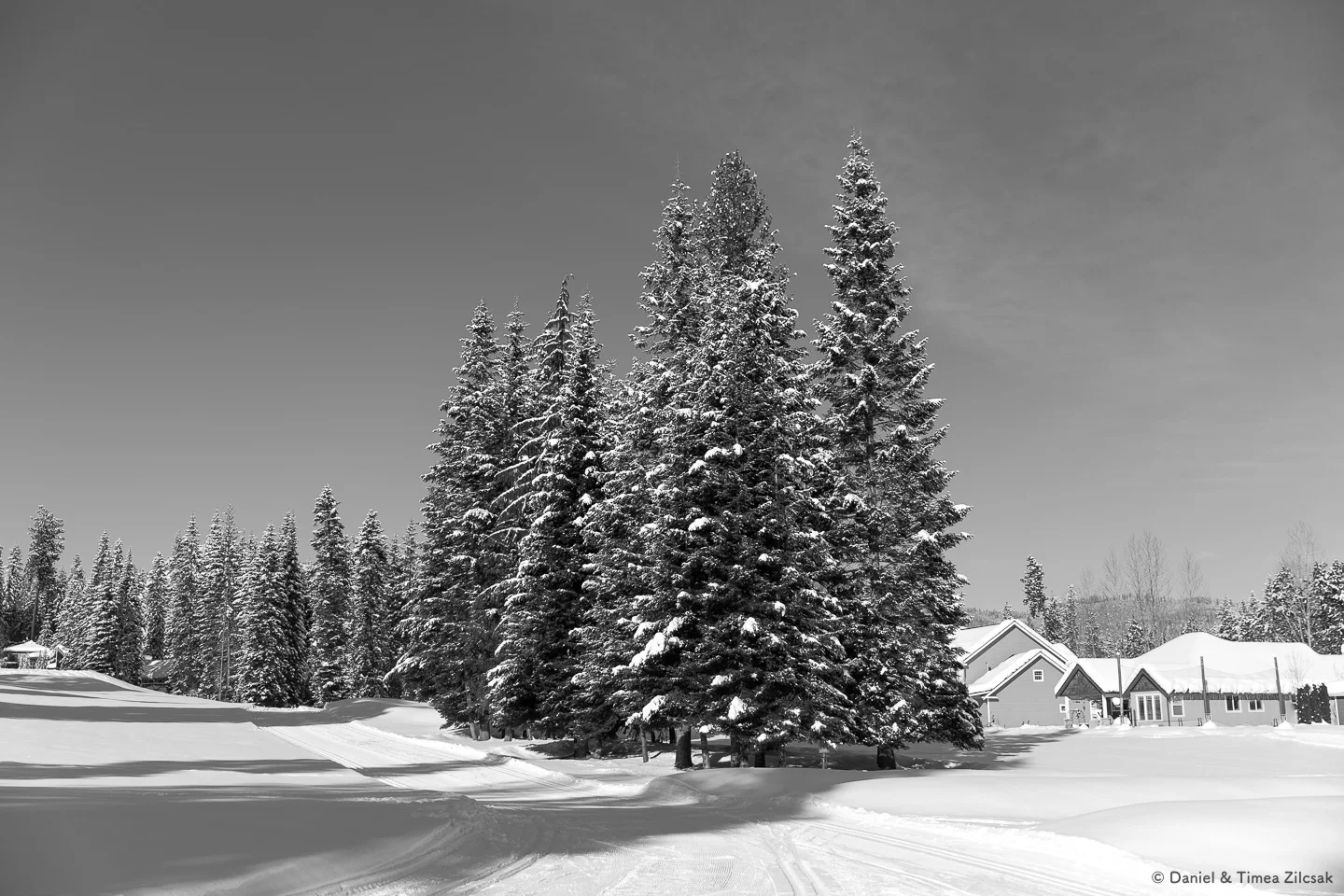 Winter Landscapes - The Zilcsaks